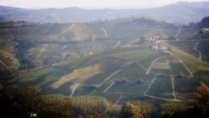 langhe_monferrato 3