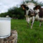 Quote_latte_Sardegna