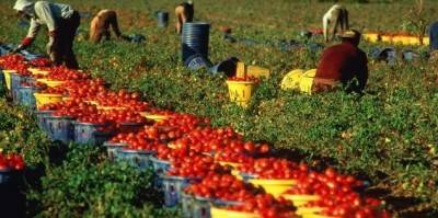 caporalato-lavoro-nero