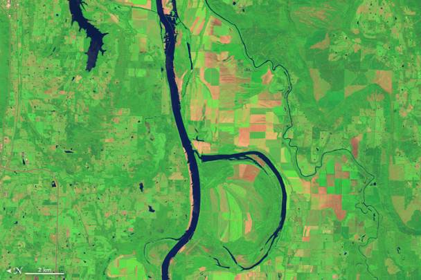 Il 4 agosto 2014, il sitema OLI operativo sul Landsat 8 ha acquisito questa immagine del fiume Arkansas insieme all’ Holla Bend Wildlife Refuge. D’ inverno questa oasi è un rifugio capace di ospitare 100.000 anatre e oche in una sola volta.