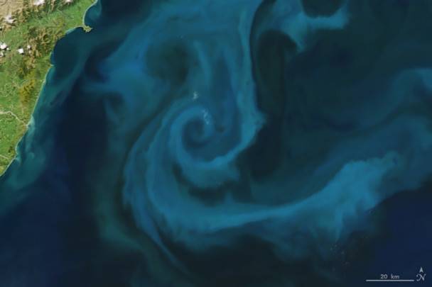 Il 25 ottobre 2009, il Moderate Resolution Imaging Spectroradiometer (MODIS) sul satellite Aqua della NASA ha scattato l’immagine di questa fioritura di fitoplancton al largo della costa della Nuova Zelanda.