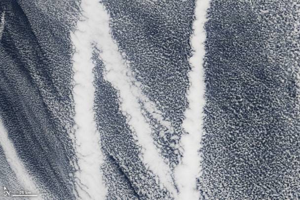 Il 4 marzo 2009, il Moderate Resolution Imaging Spectroradiometer (MODIS) sul satellite Terra ha catturato questa immagine di nuvole formate dalle emissioni create dalle navi in rotta sul Pacifico.