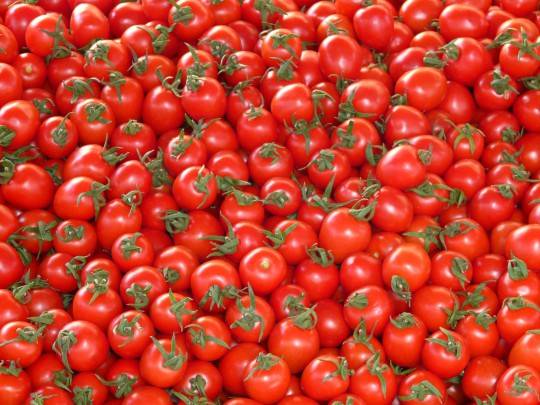 pomodori