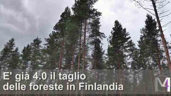 E’ già 4.0 il taglio delle foreste in Finlandia