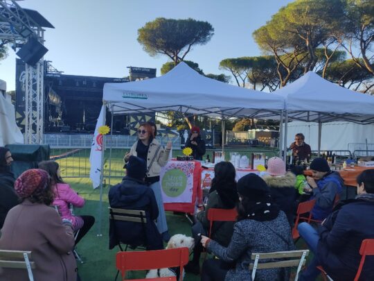degustazione di extravergie