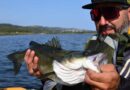 Al via l’8a edizione di “Branzino the Challenge”