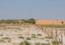 Medio Oriente: 46 milioni di ettari agricoli a rischio