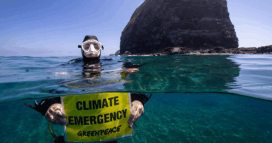 Mediterraneo bollente: 2024 anno più caldo di sempre