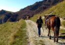 Fieracavalli svela l’equivia del Monte Baldo