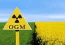 Commissione europea: verso la deregolamentazione dei nuovi OGM