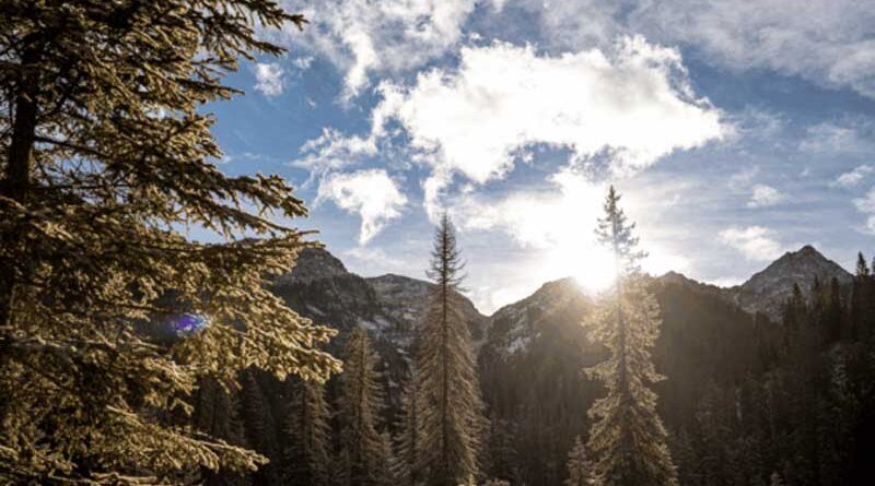 Starpool lancia il Wood Recovery Project in Val di Fiemme