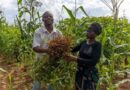 Dalla pesca alla terra: la rinascita di Paulo in Mozambico grazie all’agricoltura