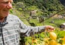 Amalfi e Giappone, nuovi patrimoni agricoli FAO
