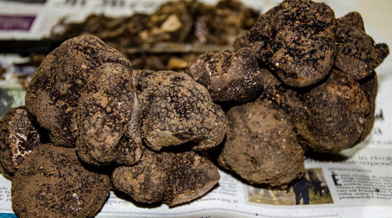 Autunno di sagre: protagonisti tartufi, castagne e funghi