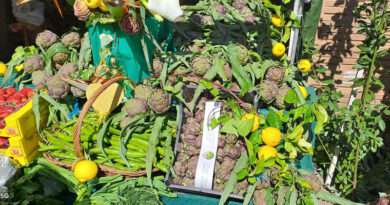 Sezze in festa, tra tradizione e sguardo al futuro