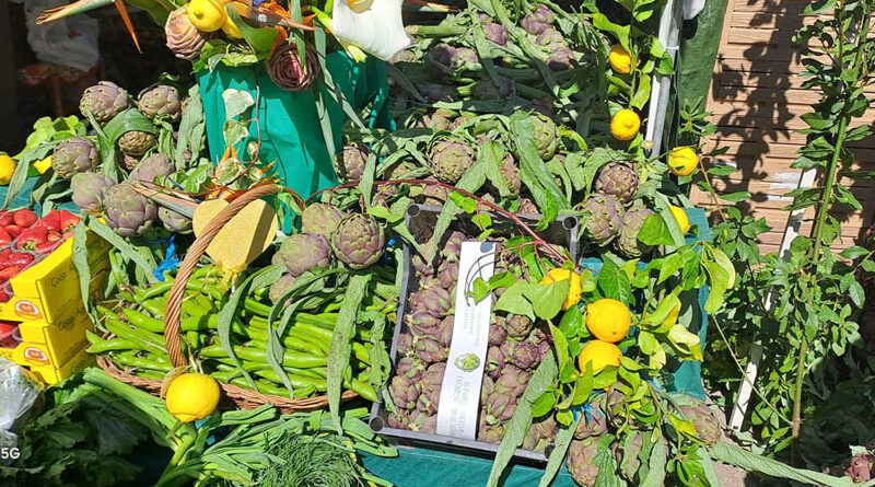 Sezze in festa, tra tradizione e sguardo al futuro