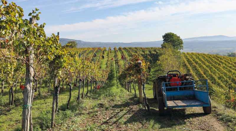 Agricoltura di precisione, il progetto di Guardia del Campo
