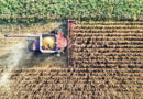Stretto di Hormuz: rischio crisi alimentare