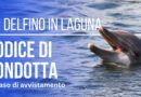 Il delfino in Laguna: una convivenza possibile