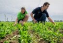 Agricoltura europea, la sfida del futuro
