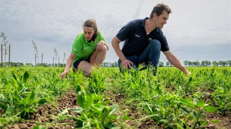 Agricoltura europea, la sfida del futuro