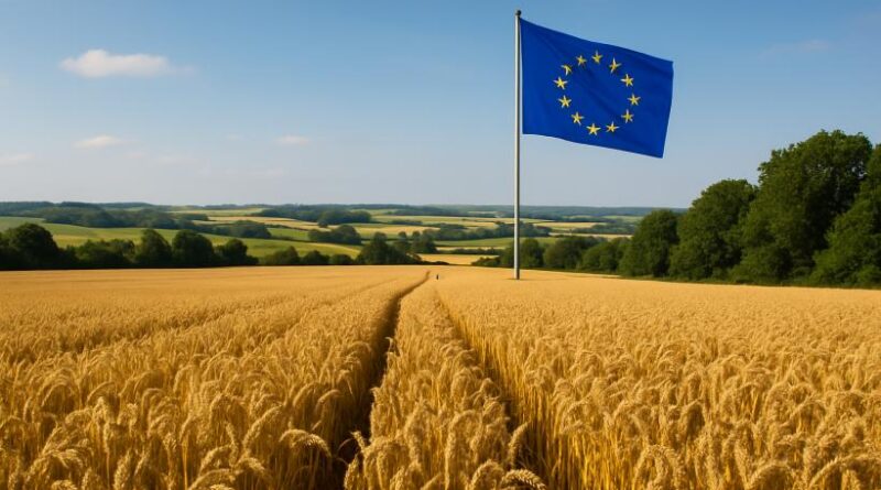 Agricoltura UE, il Consiglio definisce le priorità