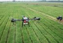 Può l’intelligenza artificiale salvare l’agricoltura?