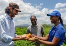 Ortofrutta, la FAO: investire per sistemi alimentari sani
