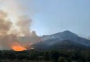 Monti Lepini in fiamme, un patrimonio che brucia