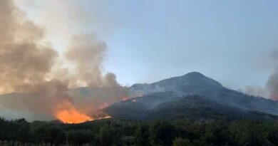 Monti Lepini in fiamme, un patrimonio che brucia