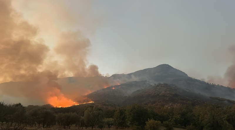 Monti Lepini in fiamme, un patrimonio che brucia