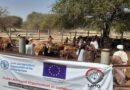 Sudan, 9,8 milioni di animali da vaccinare