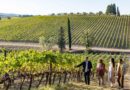 Turismo del vino, al via il decreto per la promozione