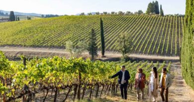 Turismo del vino, al via il decreto per la promozione