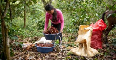 Il caffè ha la sua Giornata internazionale: la prima volta dell’ONU