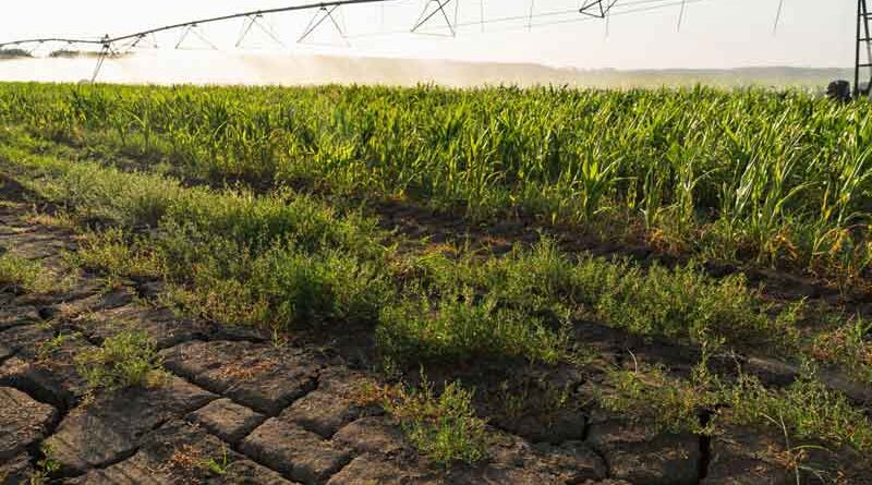 Clima e agricoltura, Francia e Portogallo chiedono aiuti UE