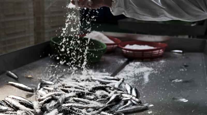120 anni tra tradizione e pesca sostenibile